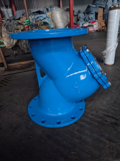 Crépine de type Y en fonte ductile, eau à double bride DIN/JIS/ASME/ASTM/GB
